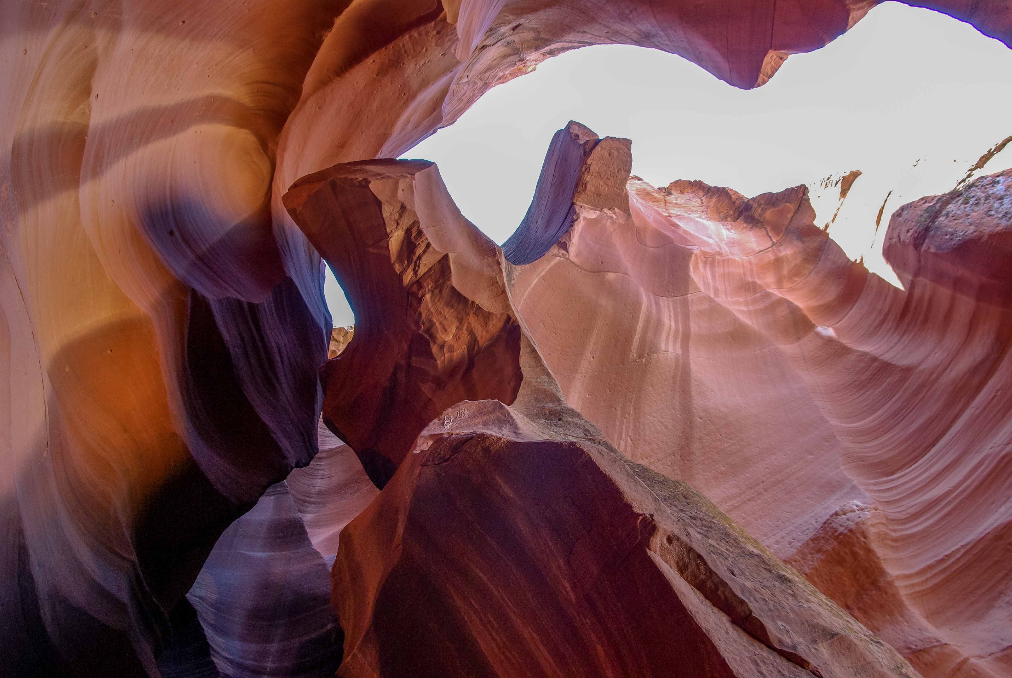 Ein Blick nach oben im Antelope-Canyon. Wasser hat sich durch den Spalt des Sandsteins gedrängt und den Fels ausgeschnitten und geformt.